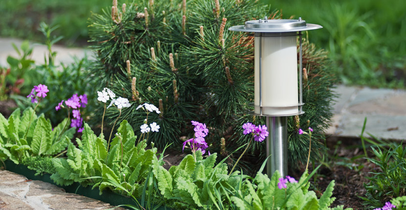 landscape solar lighting